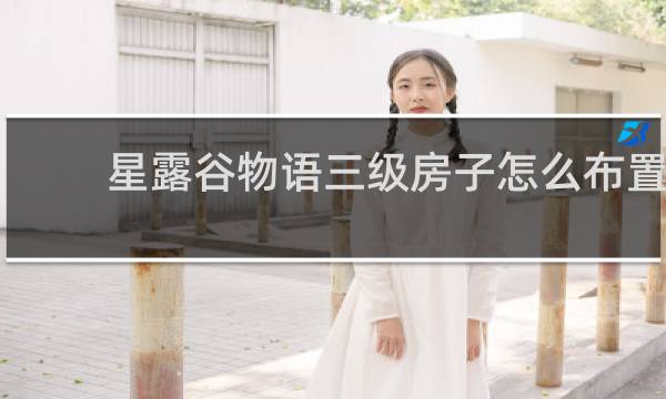 星露谷物语三级房子怎么布置