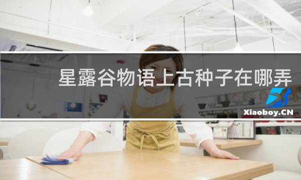 星露谷物语上古种子在哪弄