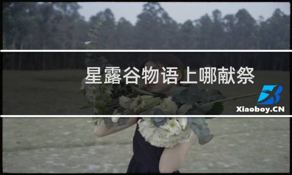 星露谷物语上哪献祭