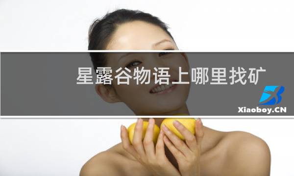 星露谷物语上哪里找矿