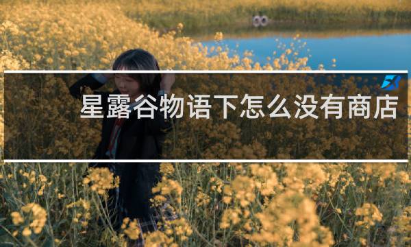 星露谷物语下怎么没有商店