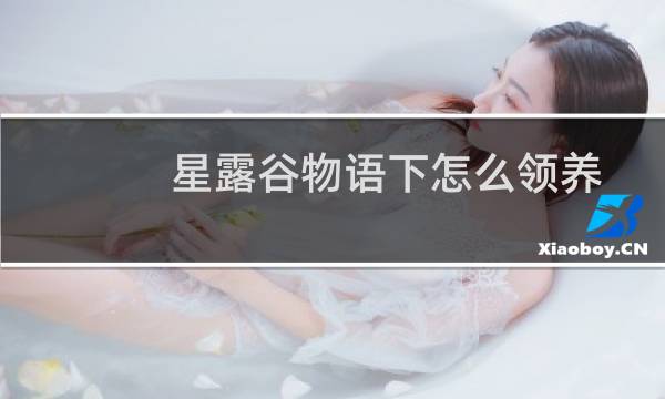 星露谷物语下怎么领养