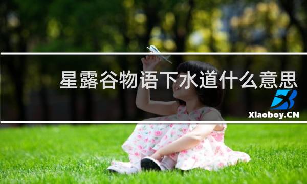 星露谷物语下水道什么意思
