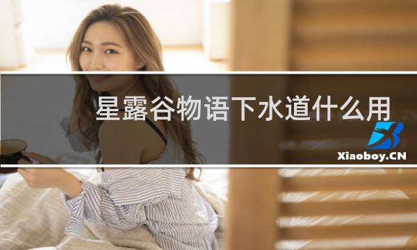星露谷物语下水道什么用