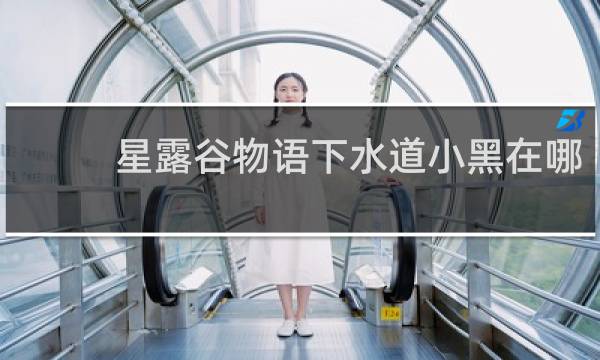 星露谷物语下水道小黑在哪