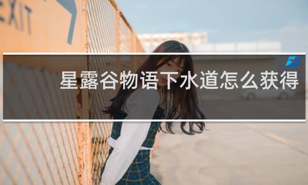 星露谷物语下水道怎么获得