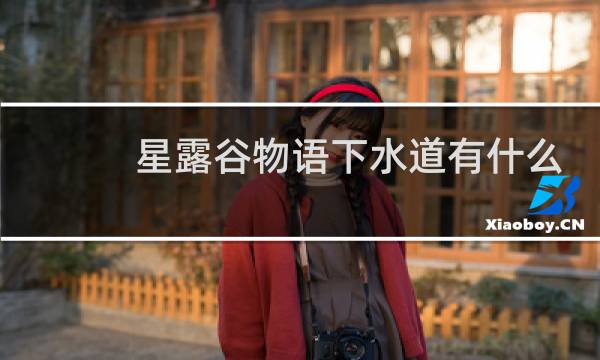 星露谷物语下水道有什么