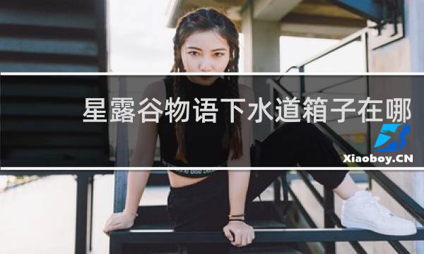 星露谷物语下水道箱子在哪