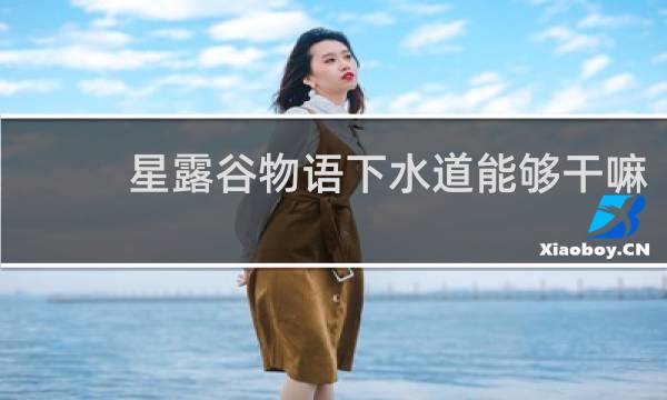 星露谷物语下水道能够干嘛