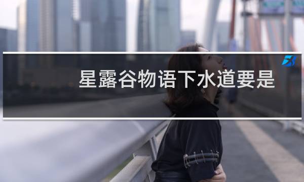 星露谷物语下水道要是