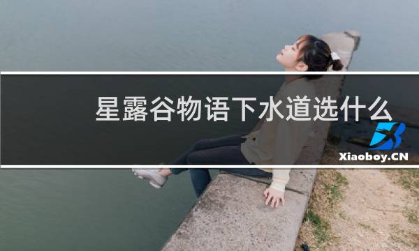 星露谷物语下水道选什么