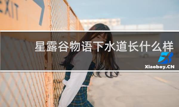 星露谷物语下水道长什么样