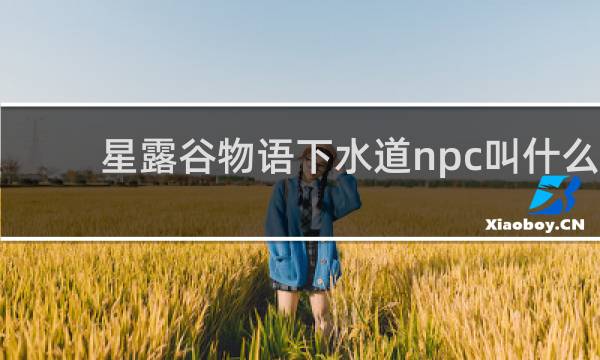 星露谷物语下水道npc叫什么