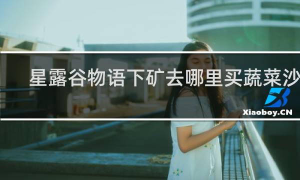 星露谷物语下矿去哪里买蔬菜沙拉