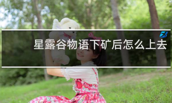 星露谷物语下矿后怎么上去