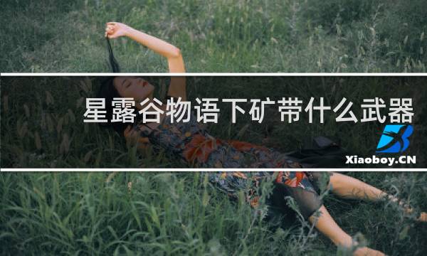 星露谷物语下矿带什么武器