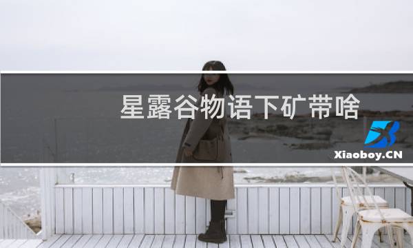 星露谷物语下矿带啥