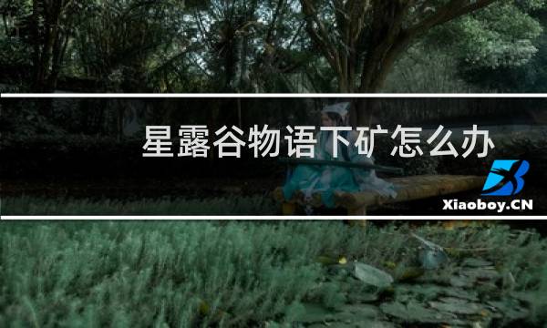 星露谷物语下矿怎么办