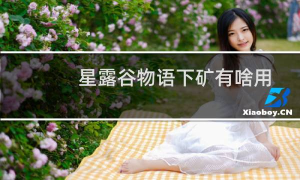 星露谷物语下矿有啥用