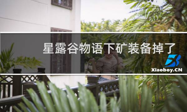 星露谷物语下矿装备掉了
