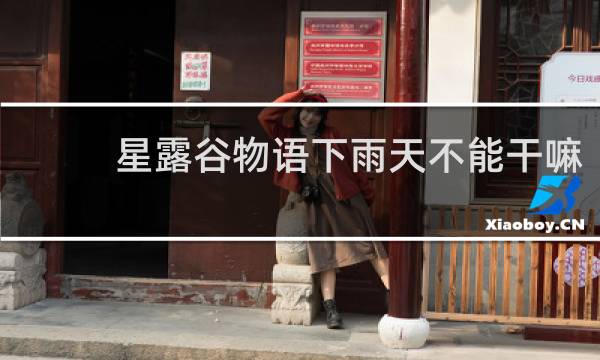 星露谷物语下雨天不能干嘛