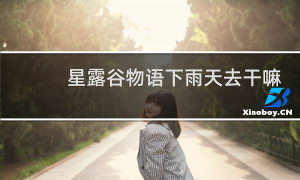 星露谷物语下雨天去干嘛