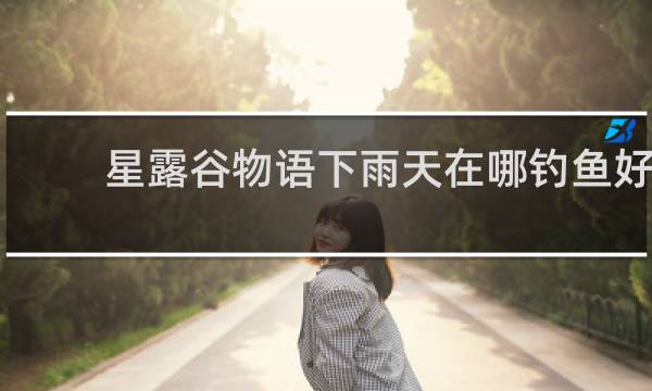 星露谷物语下雨天在哪钓鱼好
