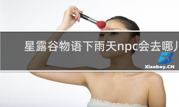 星露谷物语下雨天npc会去哪儿