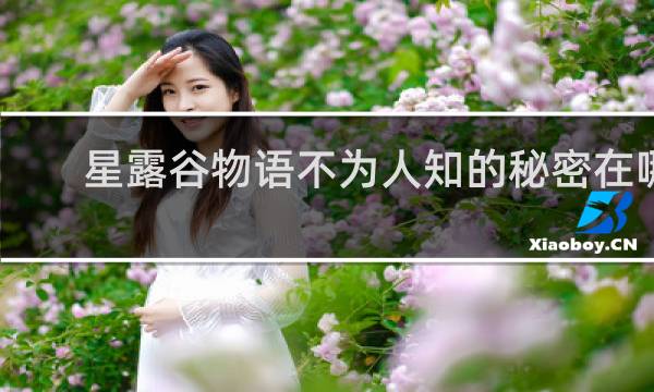 星露谷物语不为人知的秘密在哪
