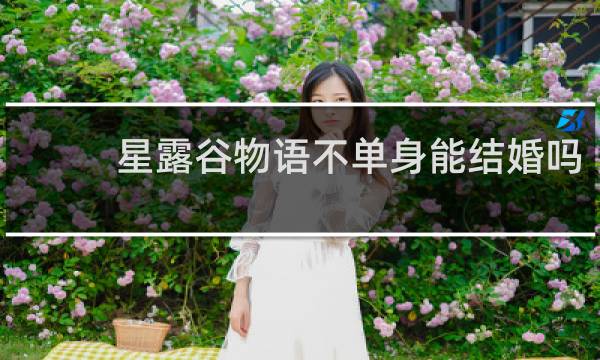 星露谷物语不单身能结婚吗