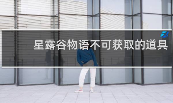 星露谷物语不可获取的道具