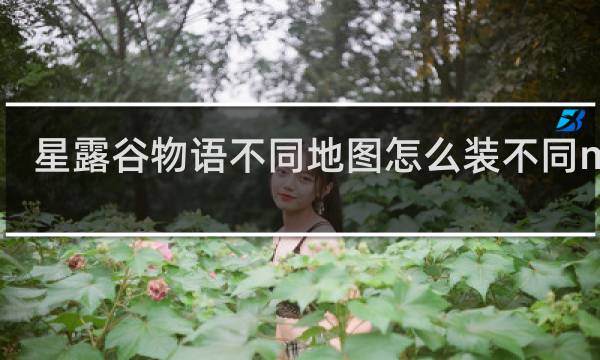星露谷物语不同地图怎么装不同mod