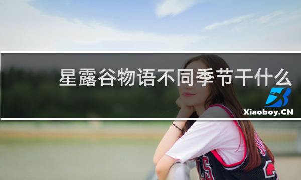 星露谷物语不同季节干什么