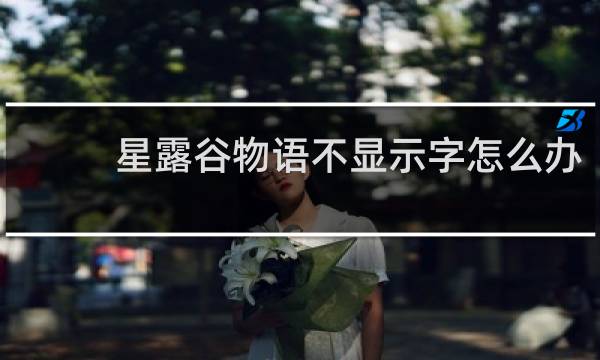 星露谷物语不显示字怎么办