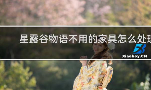 星露谷物语不用的家具怎么处理