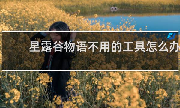星露谷物语不用的工具怎么办