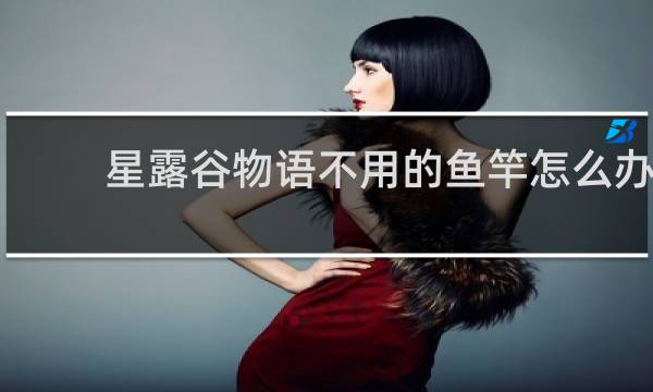 星露谷物语不用的鱼竿怎么办