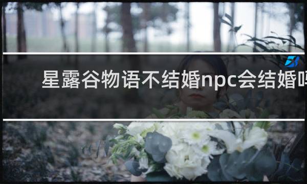 星露谷物语不结婚npc会结婚吗