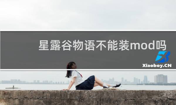 星露谷物语不能装mod吗
