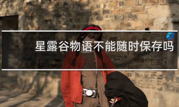 星露谷物语不能随时保存吗