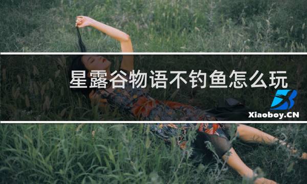 星露谷物语不钓鱼怎么玩