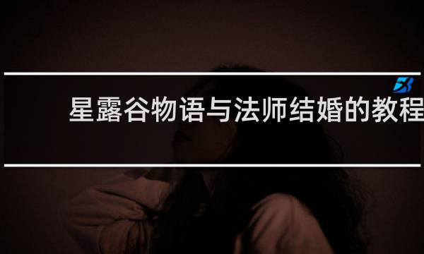 星露谷物语与法师结婚的教程