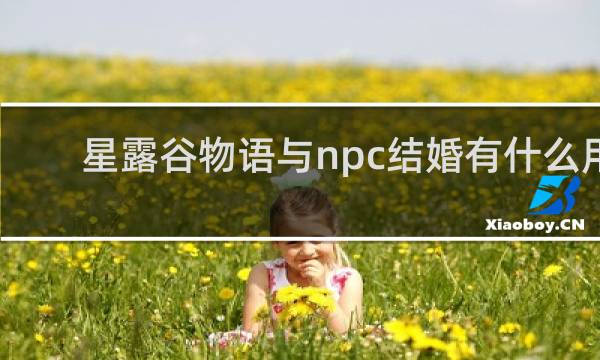 星露谷物语与npc结婚有什么用