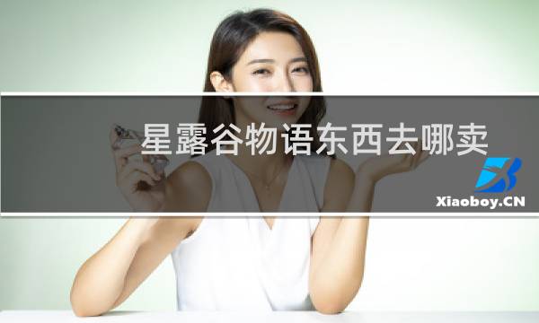 星露谷物语东西去哪卖