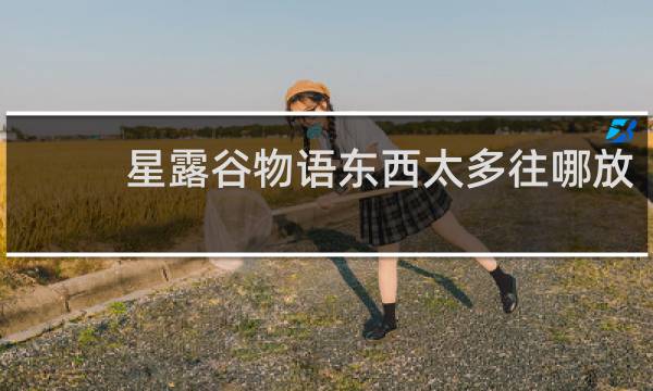 星露谷物语东西太多往哪放