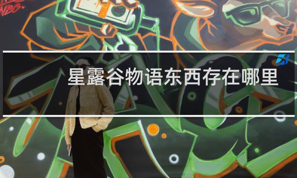 星露谷物语东西存在哪里