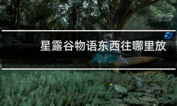 星露谷物语东西往哪里放