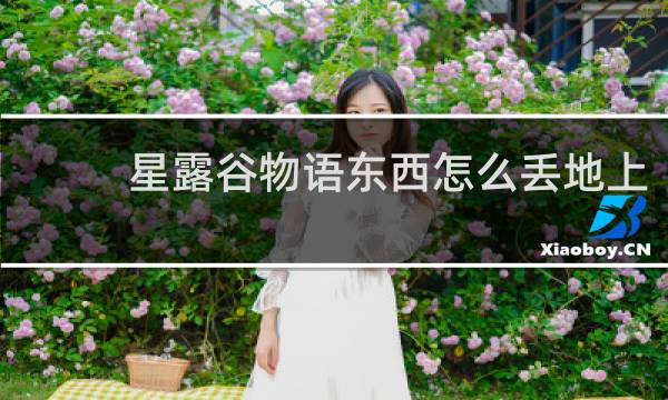 星露谷物语东西怎么丢地上