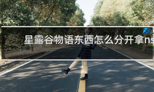 星露谷物语东西怎么分开拿ns
