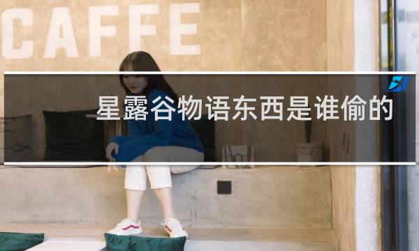 星露谷物语东西是谁偷的